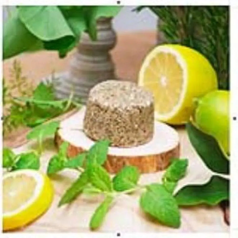 Champô sólido anti-gorduroso Nitx 85Gr.