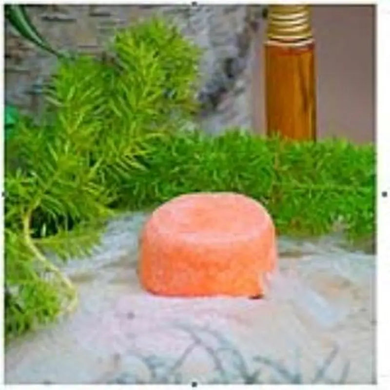 Champô sólido Nitx Volume 85Gr.