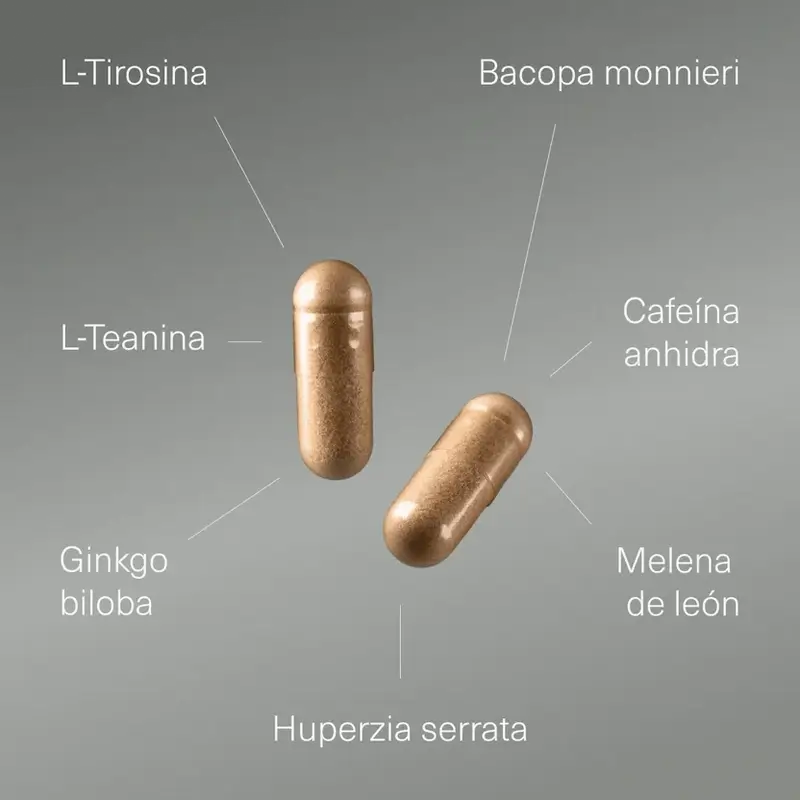 Aldous Labs Nootropic com Ginkgo Biloba, Juba de Leão, Cafeína, Bacopa, Tirosina, Teanina e Huperzine A