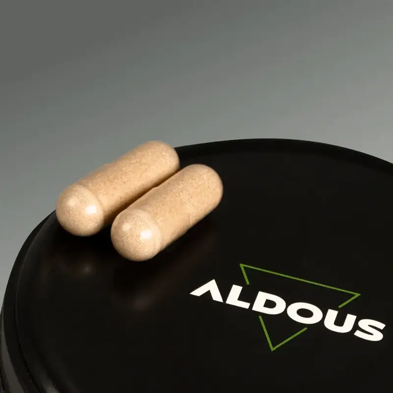 Aldous Labs Nootropic com Ginkgo Biloba, Juba de Leão, Cafeína, Bacopa, Tirosina, Teanina e Huperzine A