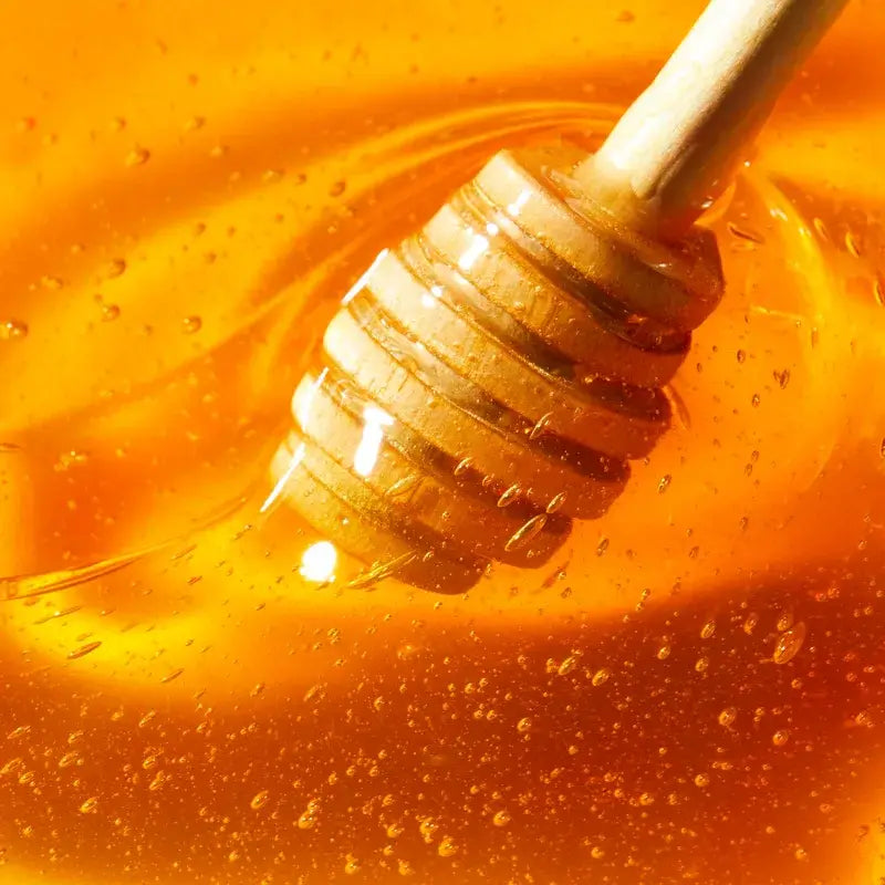 Nuxe Rêve de Miel Bálsamo de Lábios Ultra Nutritivo e Reparador com Mel, 15ml