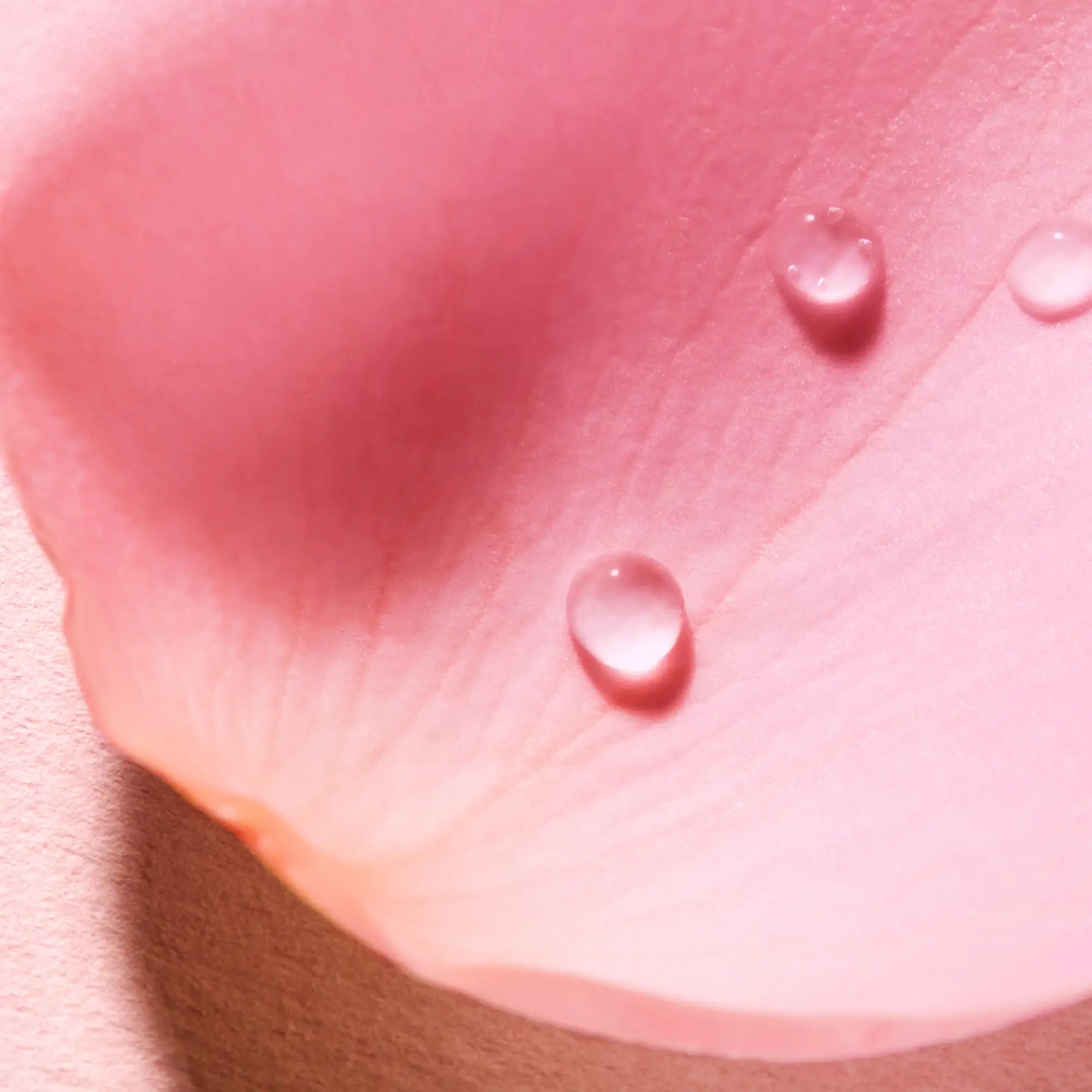 Nuxe Very Rose - Água Perfumada Voluptuosa 100 Ml