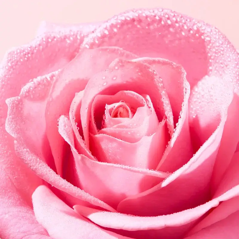 Bálsamo labial de luxo muito rosa