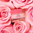 Bálsamo labial de luxo muito rosa