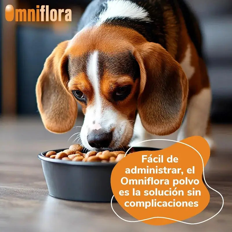 Omniflora Oral Powder, 30 Saquetas x 2 gramas