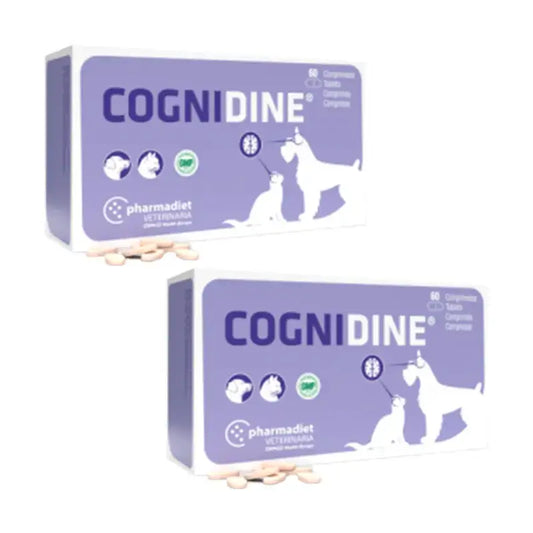 Cognidine Pack, Embalagem 2 x 60 Comprimidos