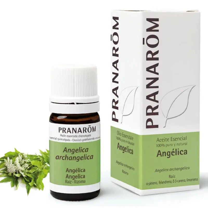 Pranarom Óleo Essencial de Angélica, 5ml