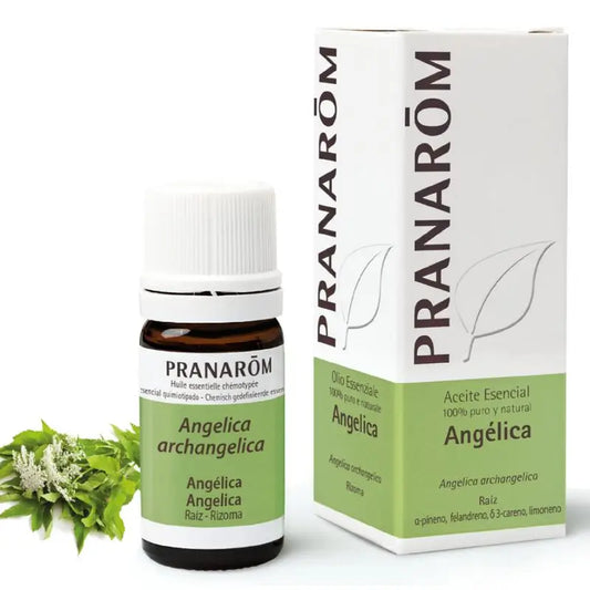 Pranarom Óleo Essencial de Angélica, 5ml