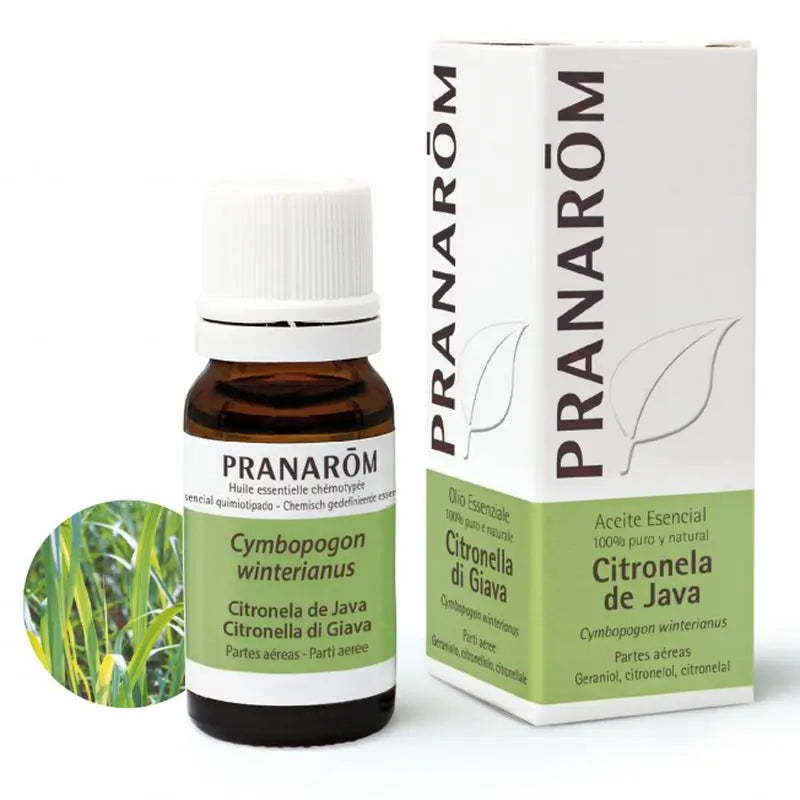 Óleo Essencial de Pranarom Citronela Java, 10ml