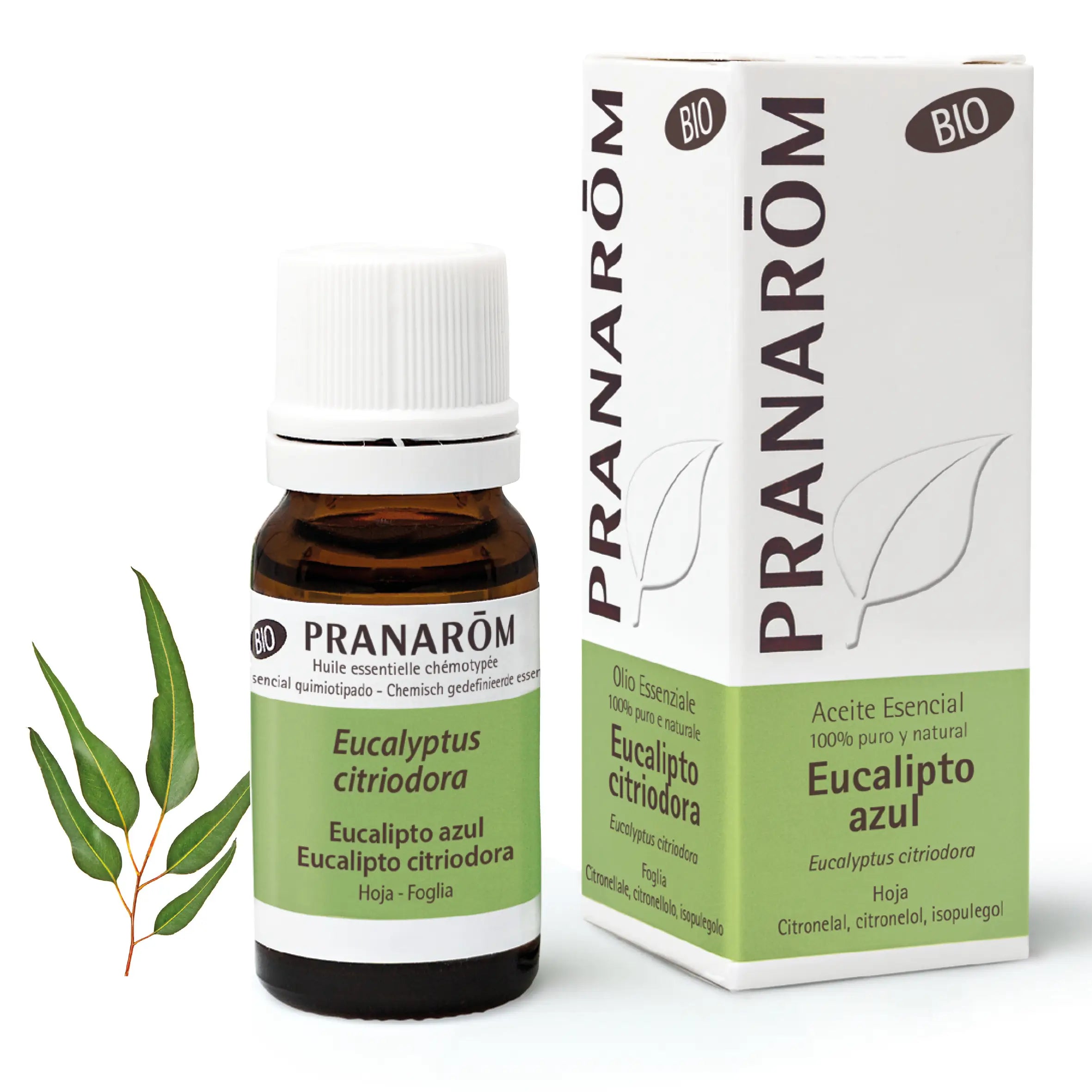 Pranarom Óleo Essencial de Eucalipto Azul Orgânico Músculos e Articulações 100% Puro e Natural , 10 ml
