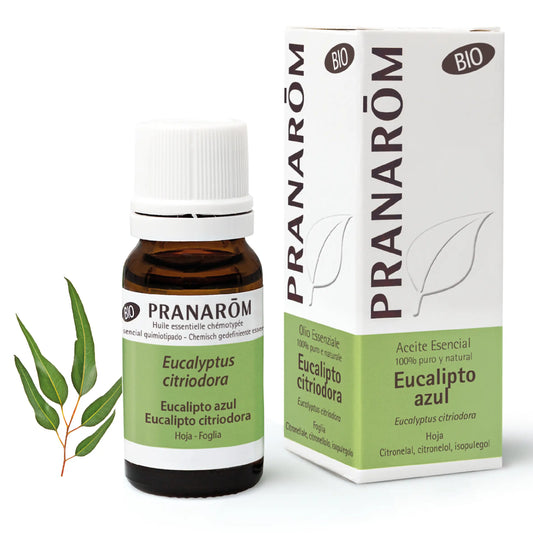 Pranarom Óleo Essencial de Eucalipto Azul Orgânico Músculos e Articulações 100% Puro e Natural , 10 ml