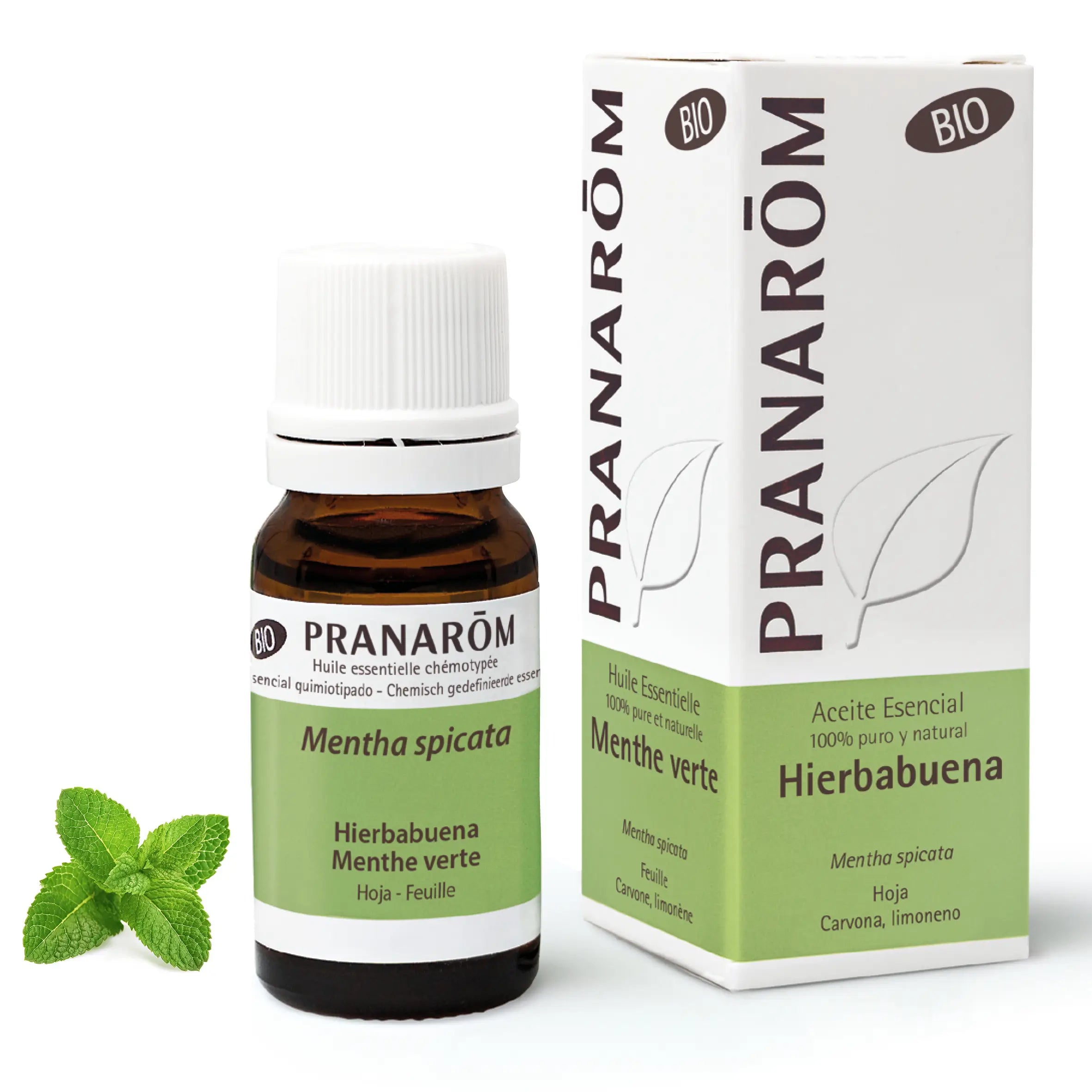 Pranarôm Peppermint 10 ml