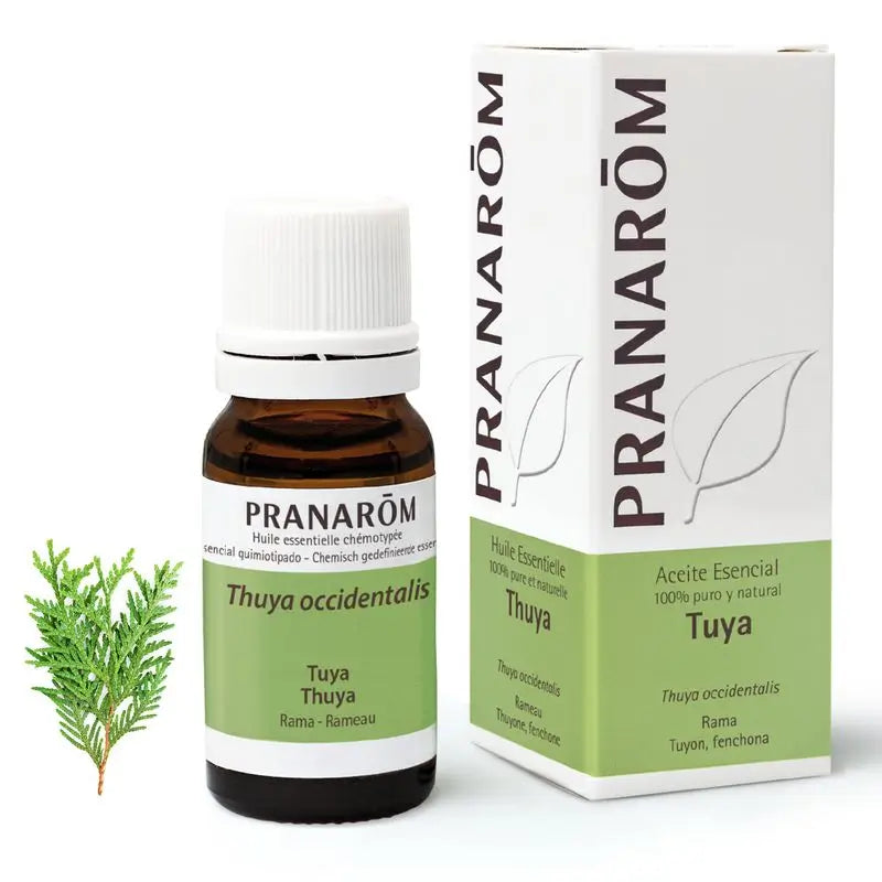 Óleo Essencial de Pranarom Tuya, 10ml