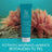 Prisma Natural Sea Beauty Plankton Scrub Gel Esfoliante, 50 ml