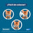 Pack Coleira Seresto para gatos 3 unidades