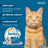 Pack Coleira Seresto para gatos 3 unidades