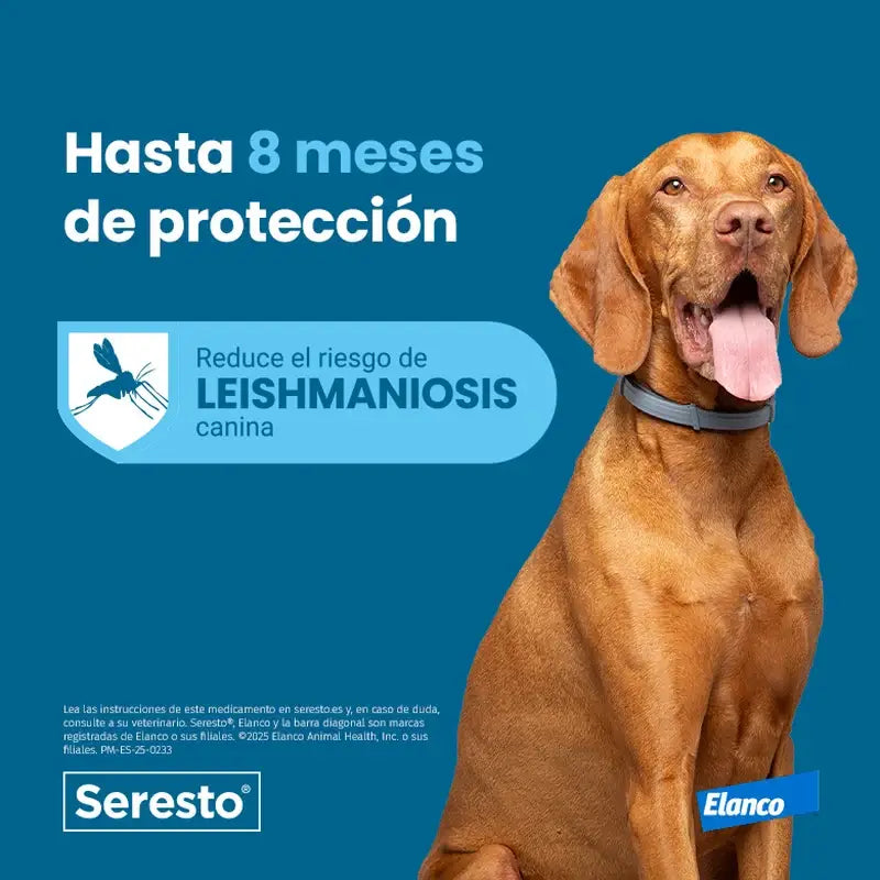Coleira Seresto +8Kg Grande Pack 2 unidades
