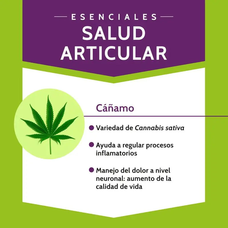 Stangest Chondrocare 30 comprimidos