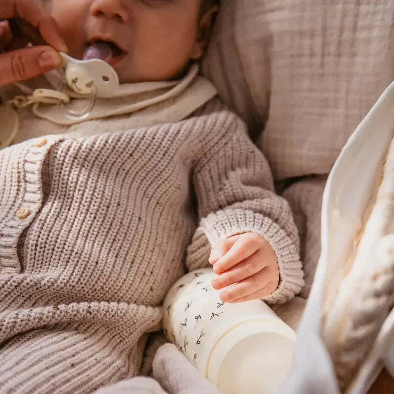 Suavinex Chupetas Sx Pro Teat +18 Meses Birdies Bege, 2 unidades