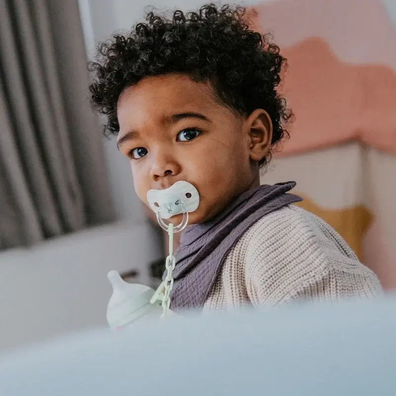 Suavinex Chupetas Sx Pro Teat +18 Meses Birdies Green, 2 unidades