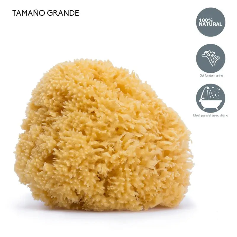 Suavinex Natural Sponge Grande