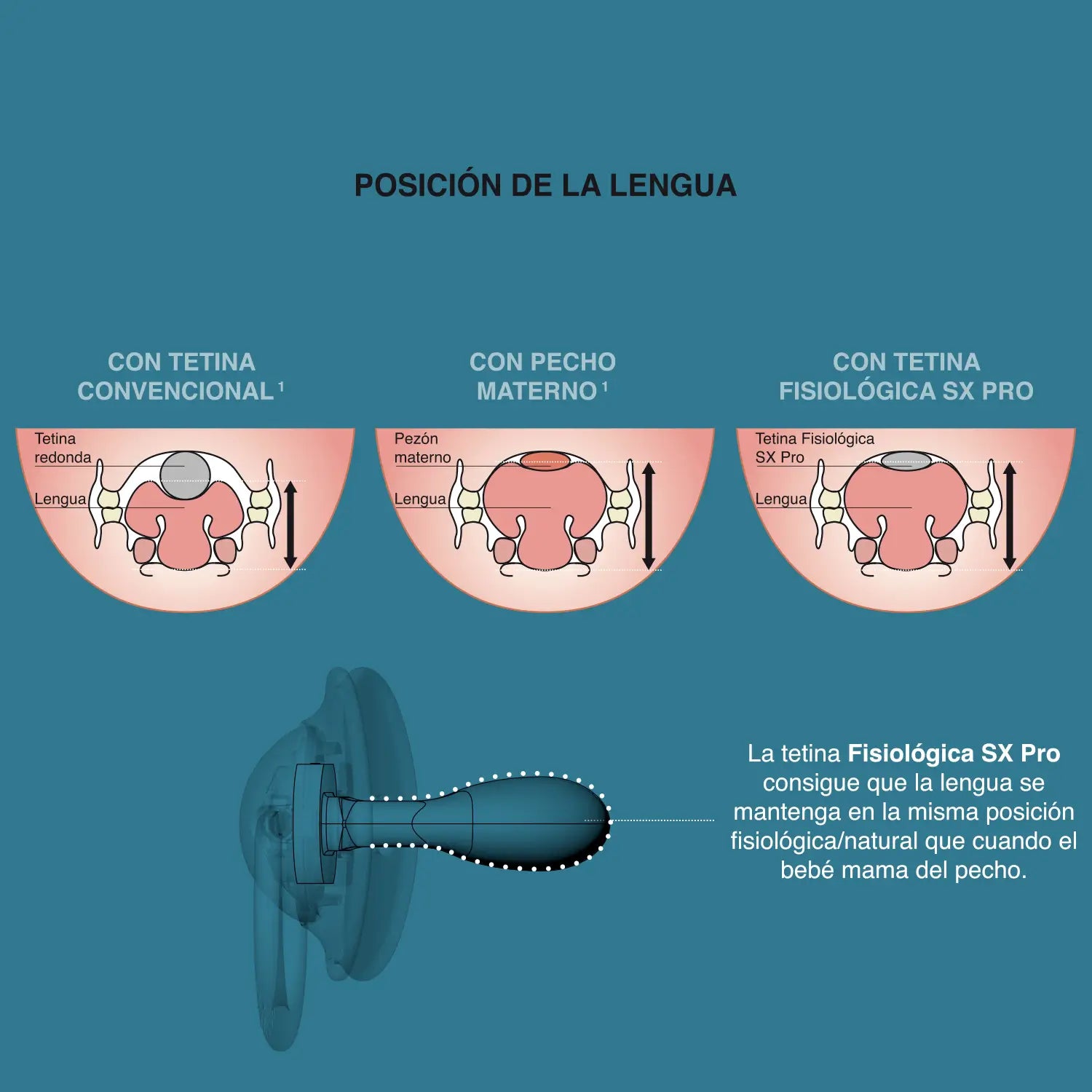 Suavinex Pack 2 Pacifiers Physiological Sx Pro Jungle Pink 18+M