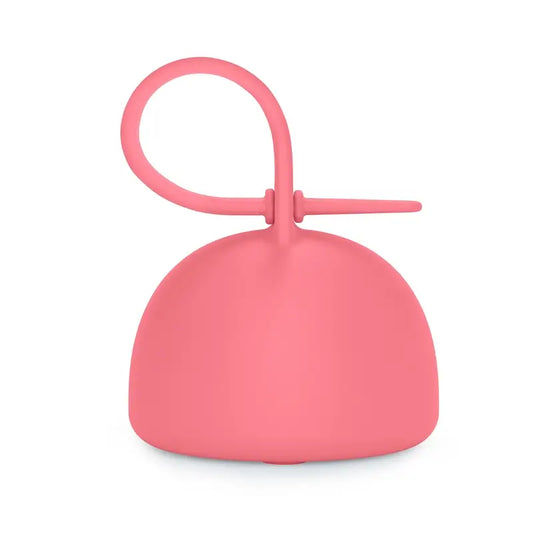 Suavinex Porta-chupetas de silicone com pega, +0 meses, fúcsia