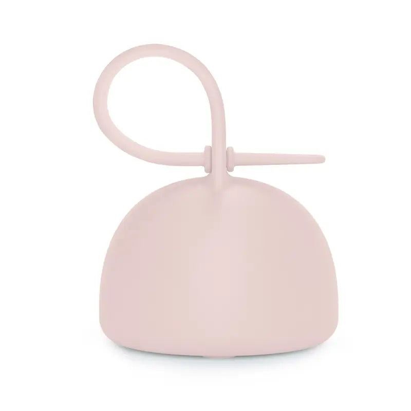 Suavinex Porta-chupetas de silicone com pega, +0 meses, Água de rosas