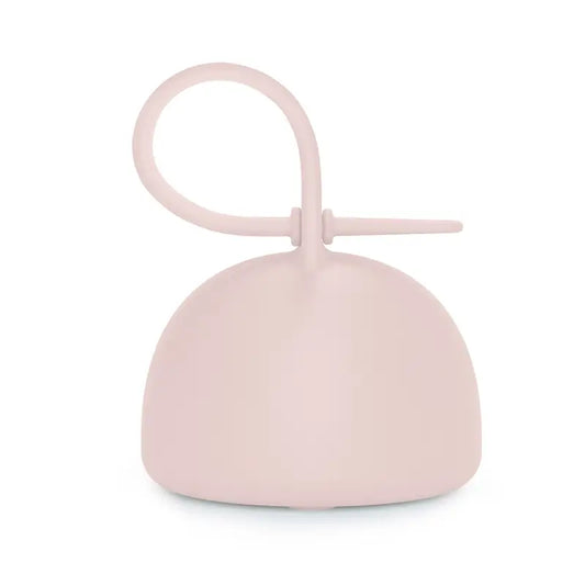 Suavinex Porta-chupetas de silicone com pega, +0 meses, Água de rosas