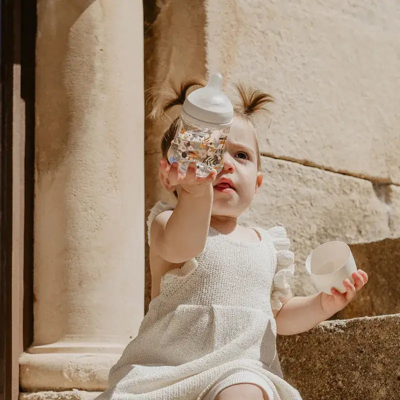 Conjunto de oferta para recém-nascido Suavinex: biberões + chupeta + dispensador + chupeta + suporte para chupeta + suporte para chupeta, bege Wonderland