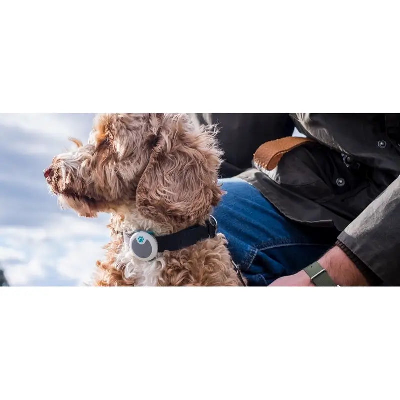 Animo Sure PetCare - Monitor de Comportamento e Actividade para Cães.