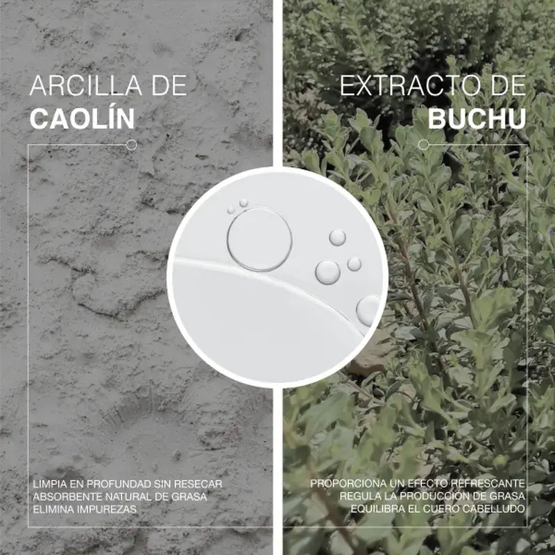 The Cosmetic Republic Champô para Cabelos Oleosos, 300 ml