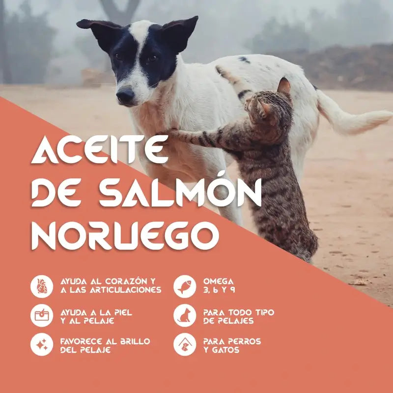 Óleo de Salmão Togo, 250 ml