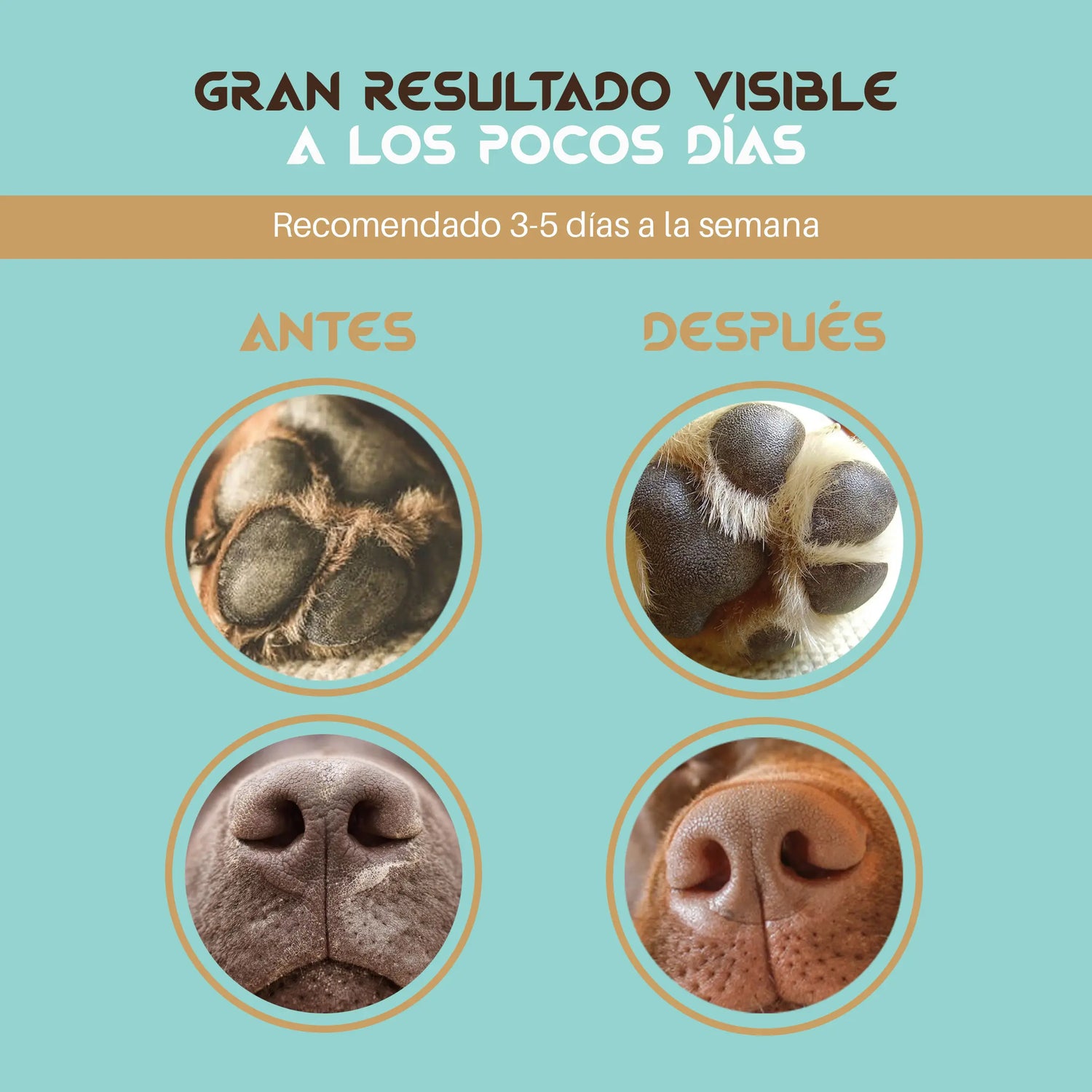 Togo Bálsamo Curativo para o Nariz e as Almofadas dos Cães e Gatos, 60Ml