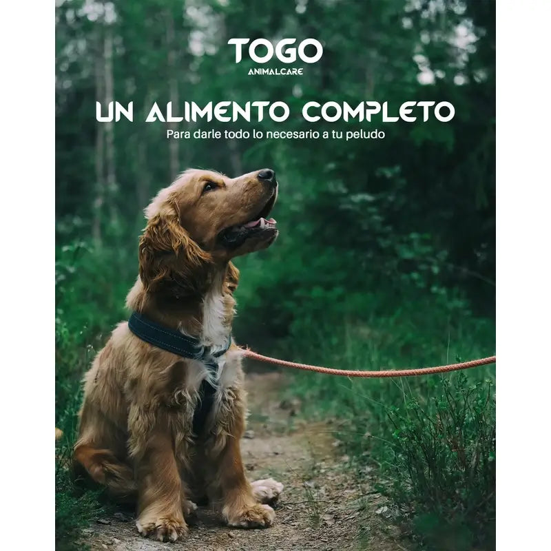 Togo Salmon Alimento seco, 15 kg
