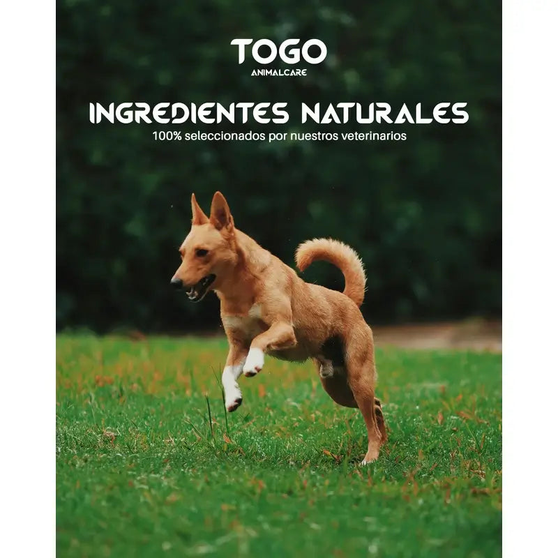 Togo Salmon Alimento seco, 15 kg