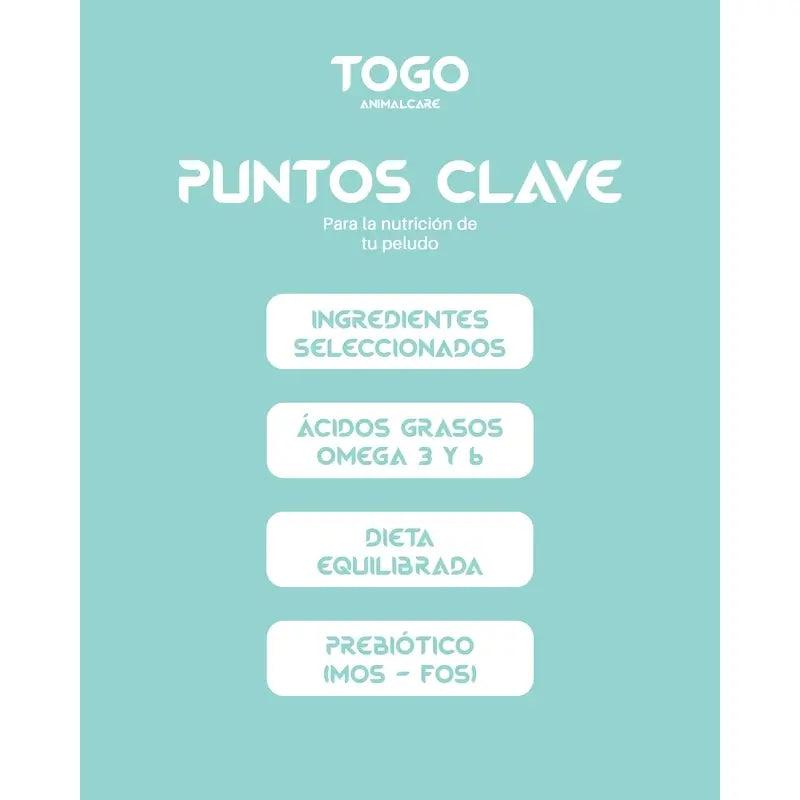 Togo Salmon Alimento seco, 15 kg