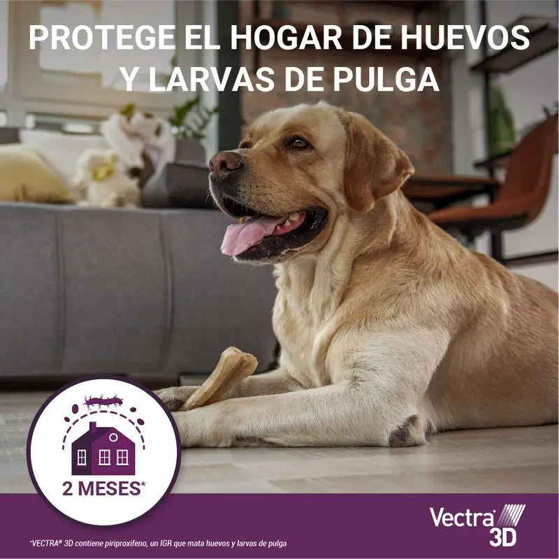 Vectra 3D cão 1,5-4KG, 3 pipetas