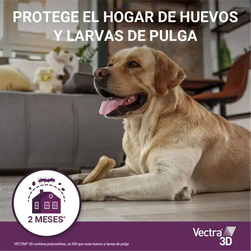 Vectra 3D Dog +40 kg, Embalagem 2 x 3 pipetas