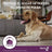 Vectra 3D Dog +40 kg, Embalagem 2 x 3 pipetas
