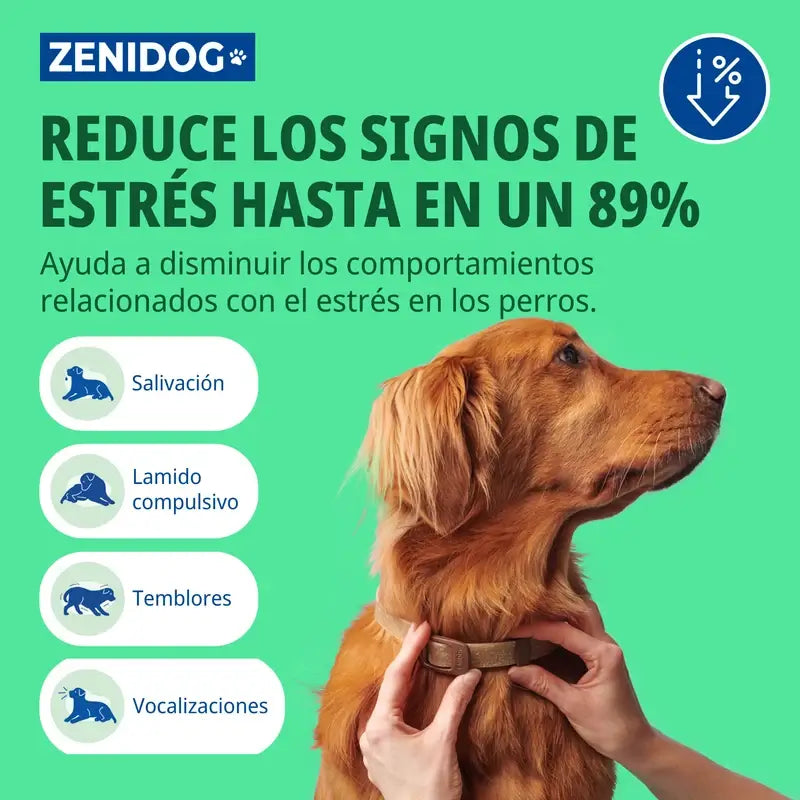 Virbac Zenidog Coleira S
