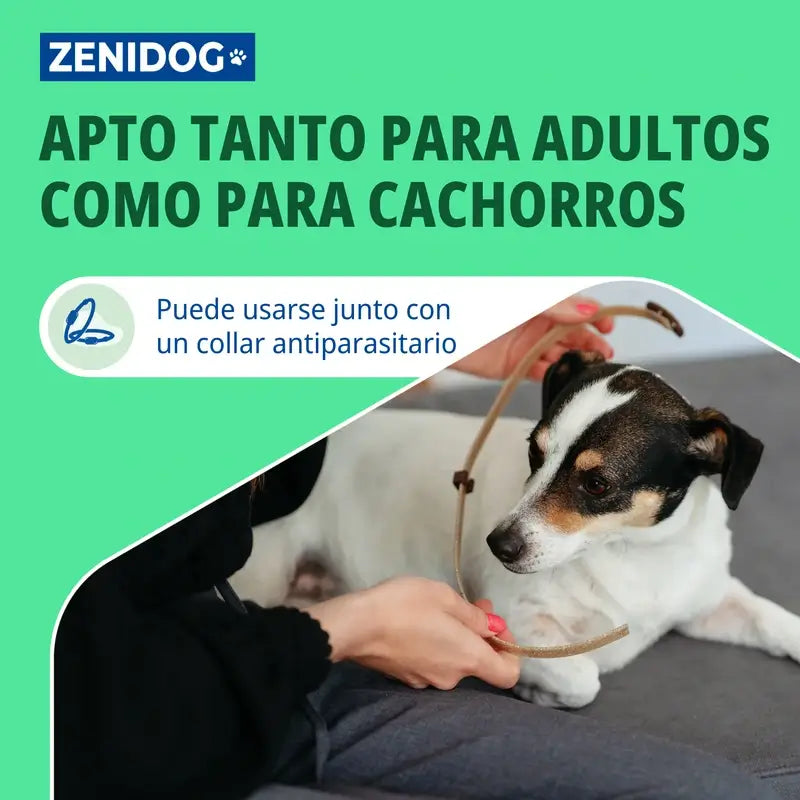 Virbac Zenidog Coleira S