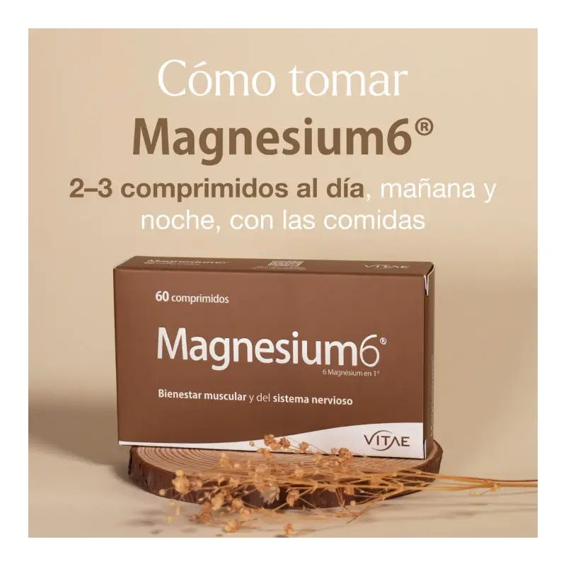VITAE Magnesium6, 20 comprimidos