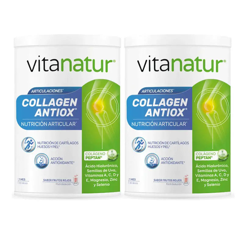 VITANATUR COLAGENO ANTIOX 360 G 2º50%
