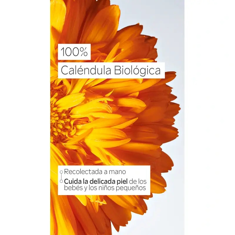 Creme Facial de Calêndula para Bebés Weleda 50 ml