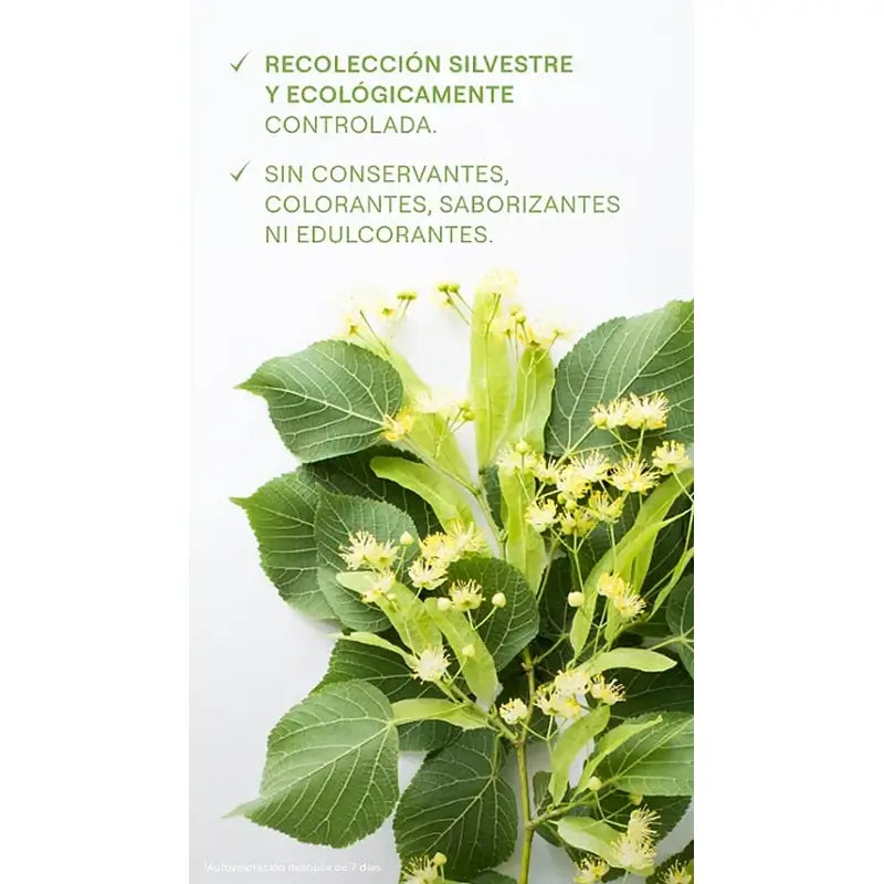 Sumo de Bétula Weleda, 200 ml